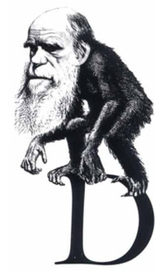darwin