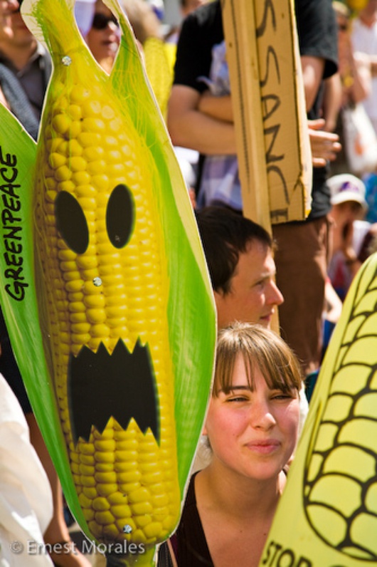 ©Ernest Morales - Neno°/flickr