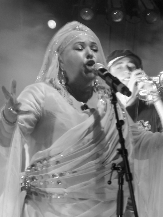 Das Publikum im Cabaret Sauvage war bunt gemischt – und doch waren es vor allem die jungen Leute, die ekstatisch „Esma! Esma!“ schreiend vor der Bühne auf und ab hüpften