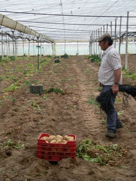 (Concha Hierro del Hoyo)