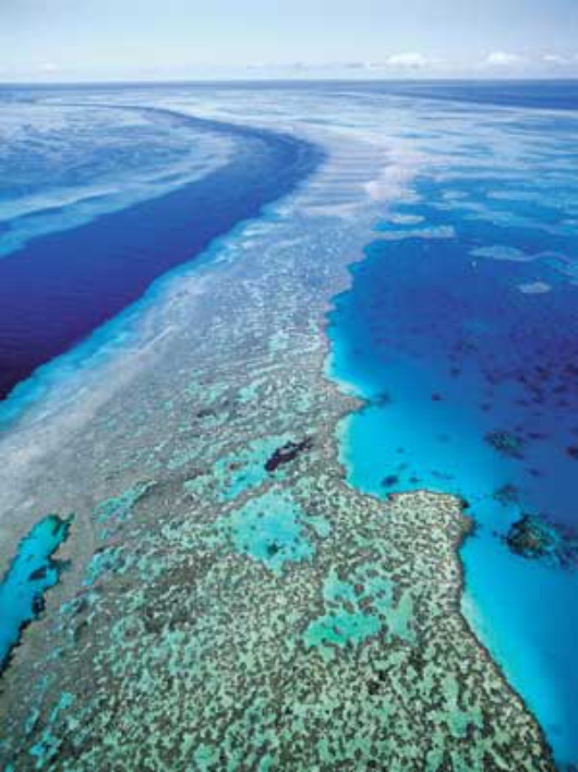 the great barrier reef