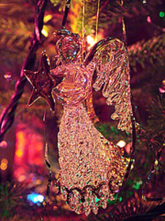 noel
