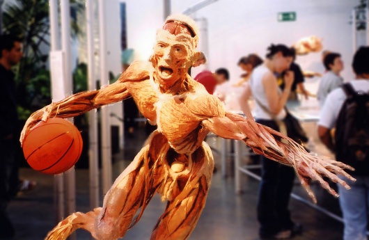 Et pourquoi pas faire jouer au basket à un cadavre !
