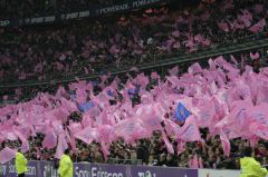 stade francais fans