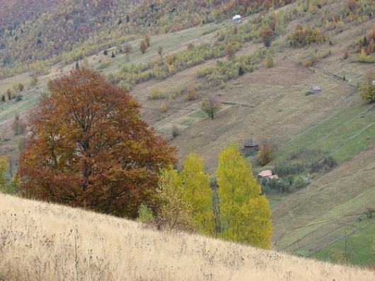transylvania view