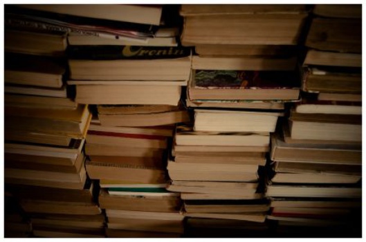 Stacks of books (cc) Andrei.D40