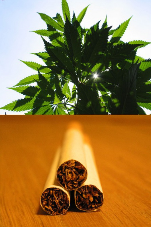 ©lollyman/NieckQ/flickr