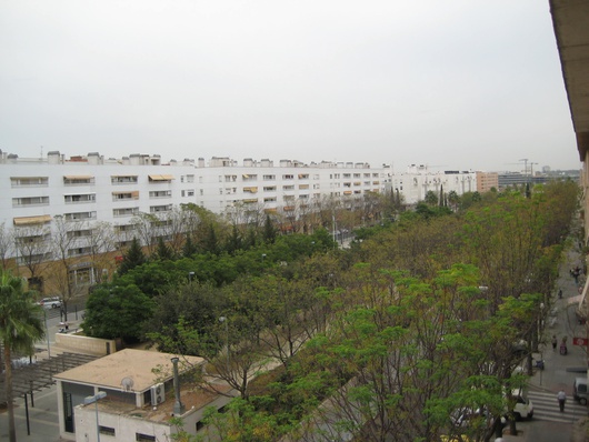 (Ángeles González del Corral)