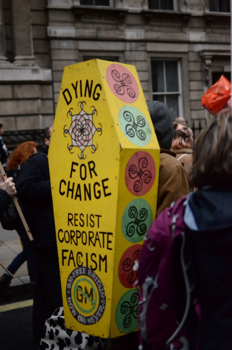 An anti-GM crops and corporatism protestor morbidly exhumes the remains of what hope is left for change. Perhaps he would rather not find himself 6 feet underwater?