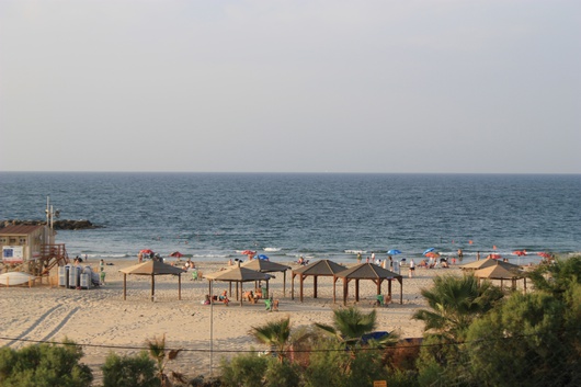 (Image: ©Daiva Repečkaitė)