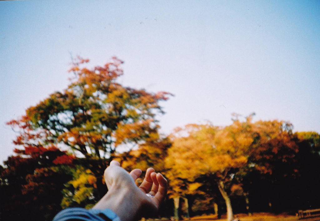 Y de vuelta a Escocia