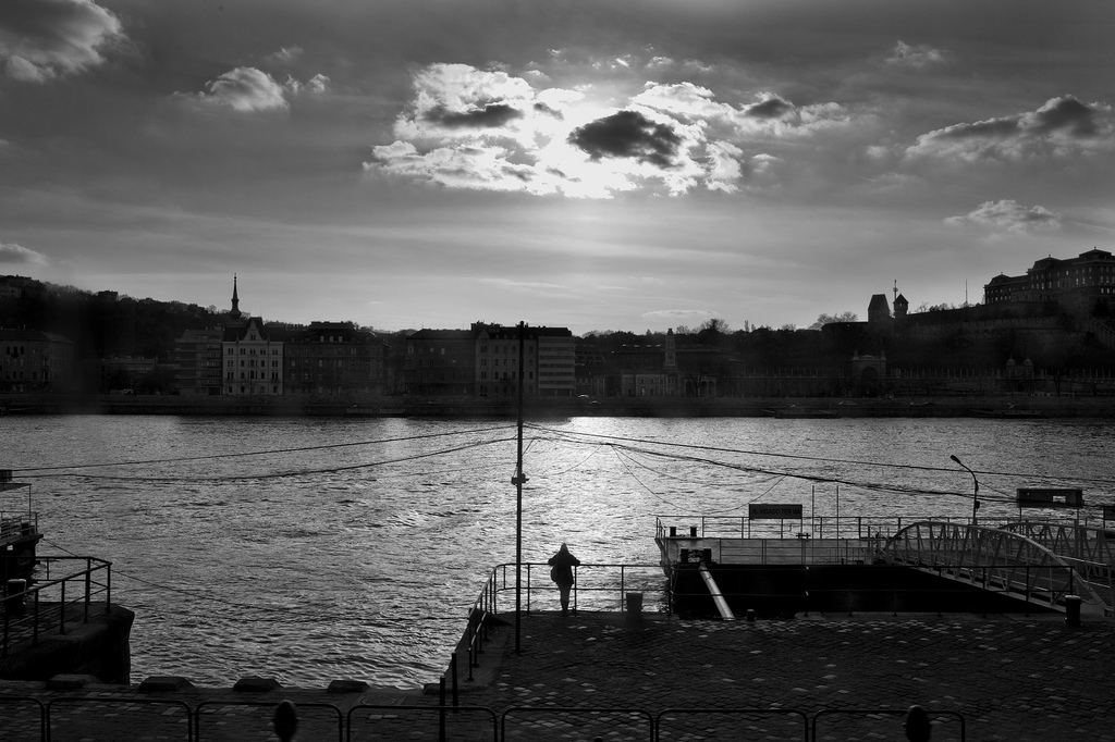 Alla ricerca della crescita