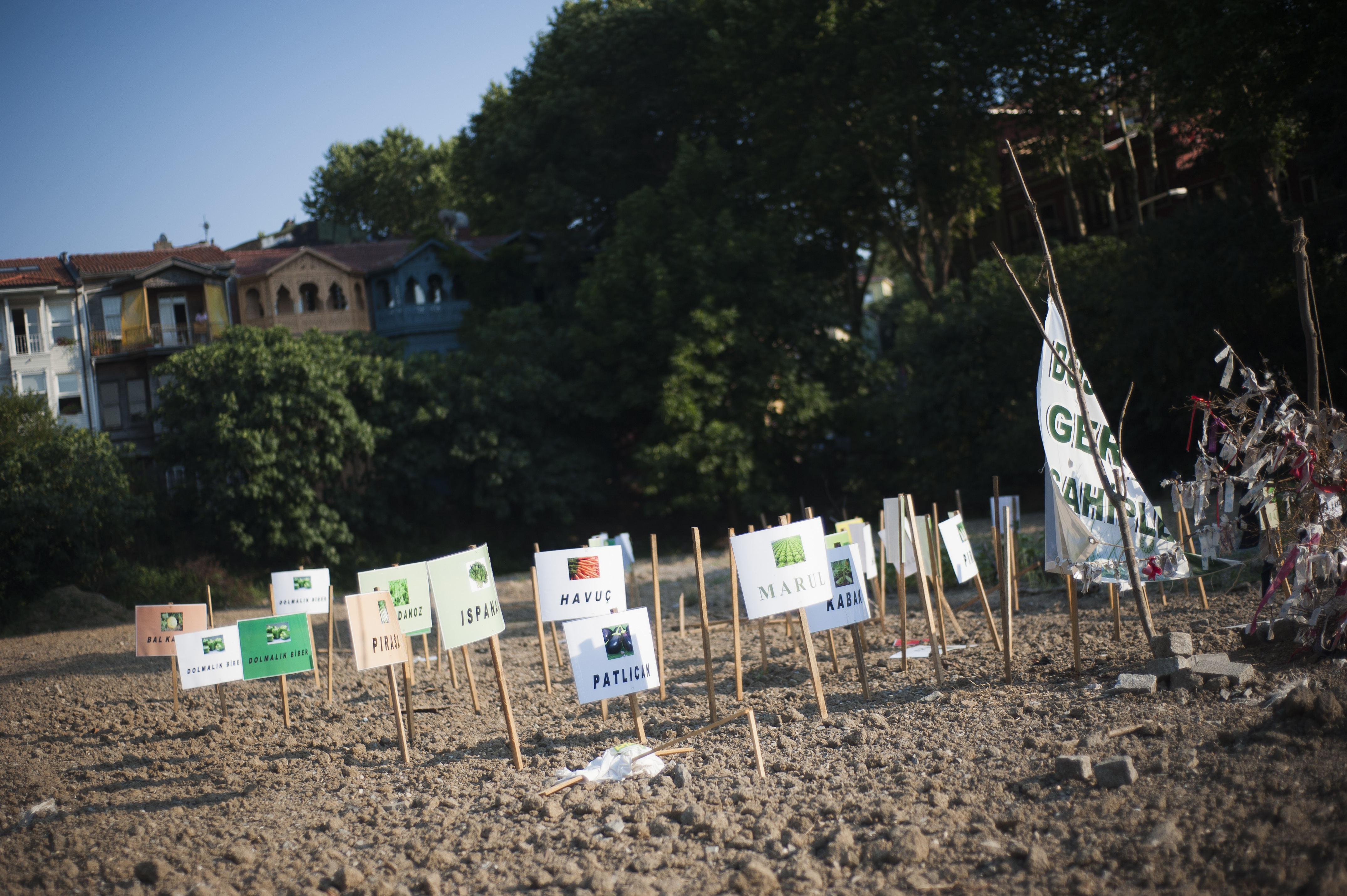 L’écologie levante