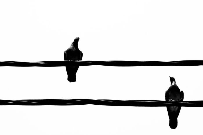 Image for Aufgewärmt: EU will wieder mit Türkei anbandeln