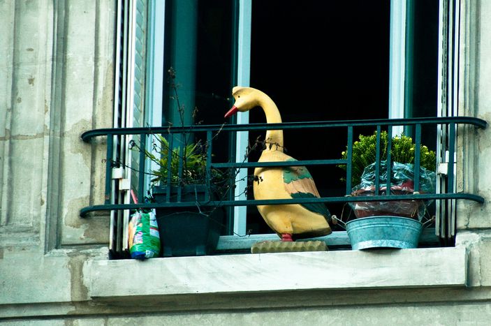 Image for The Parisian Corner agenda : from October 8 to October 15