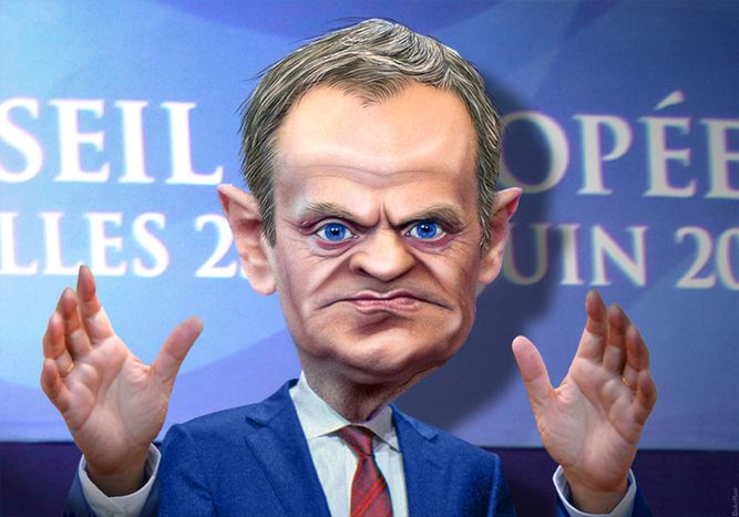 Image for Donald w krainie grzybów