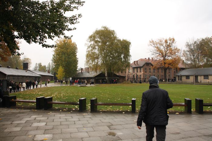 Image for ICH SCHÄMTE MICH, EINE DEUTSCHE ZU SEIN Ein Besuch in Auschwitz-Birkenau