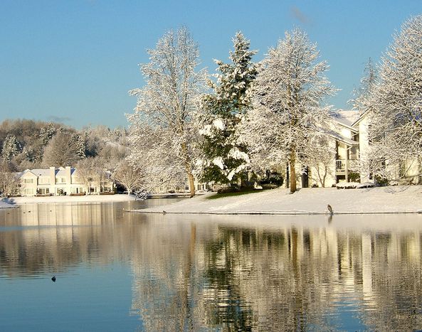 Image for 5 sposobów na to, jak przetrwać zimę