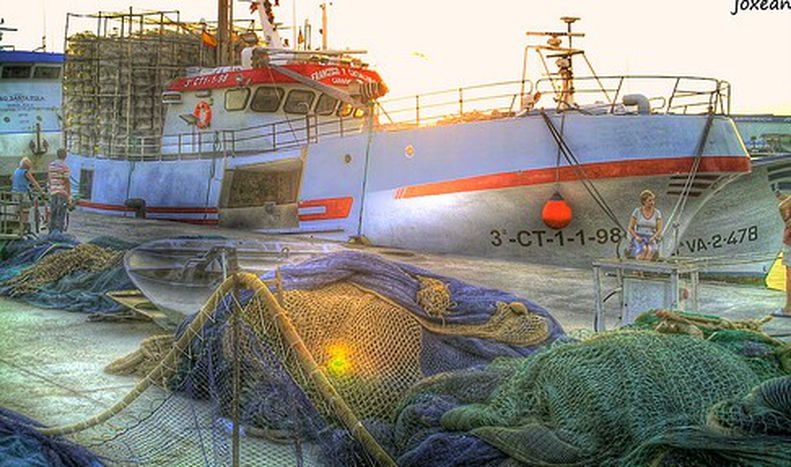 Image for Rybak, koniec zawodu w Europie?
