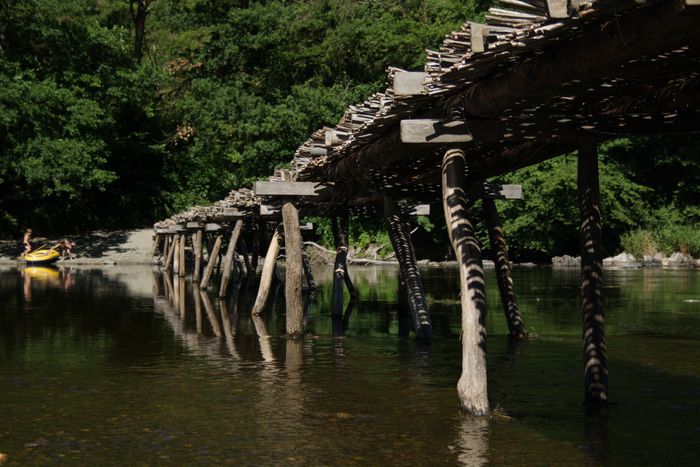 Image for Riserve naturali in Vallonia: una risposta alla questione climatica in Belgio?