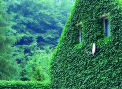 Image for Le boom des maisons écolos
