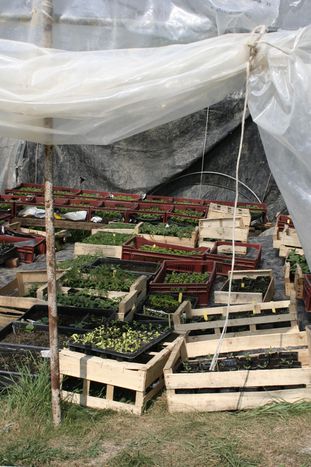 Image for La vente à la ferme sur Internet ou la fin des intermédiaires 