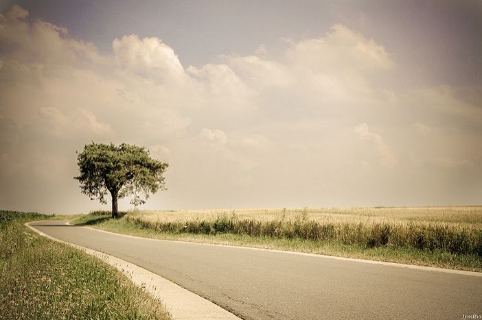 Image for Déclic Tour: el camino hacia el emprendimiento social