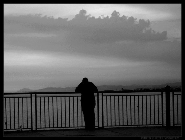 Image for A Muslim from Oslo