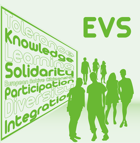 Image for L'emozionante avventura del Servizio Volontario Europeo