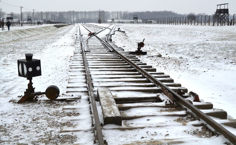 Image for Auschwitz: ocalić od zapomnienia
