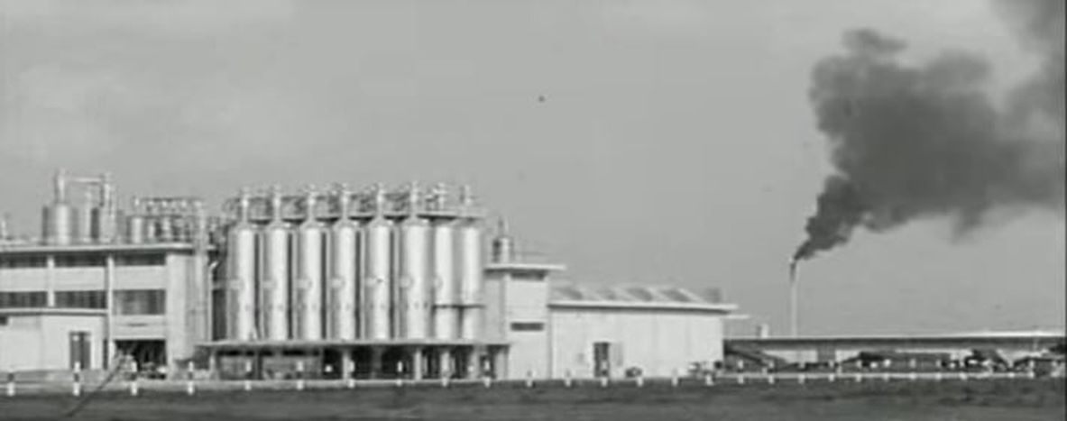 Image for Torino Film Festival: "In Fabbrica" zeigt uns, wer wir waren
