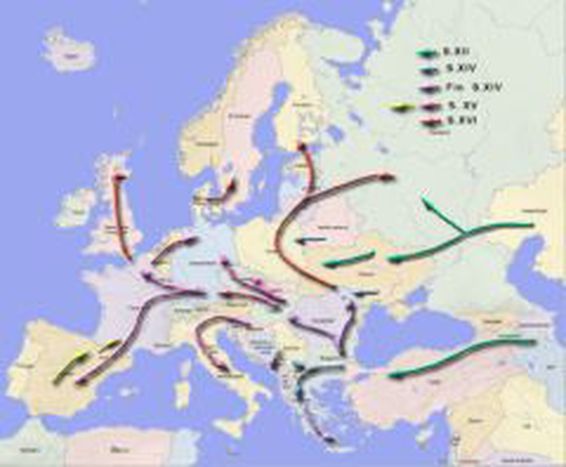 Image for Migrations européennes : une radioscopie politique