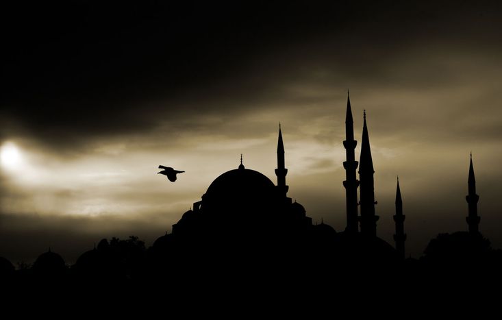 Image for Attentats à Istanbul : les faucons noirs