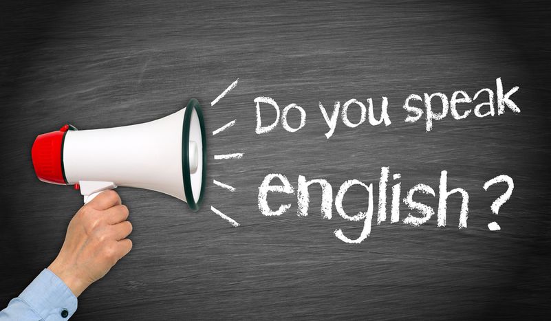 Image for Les Français et l'anglais