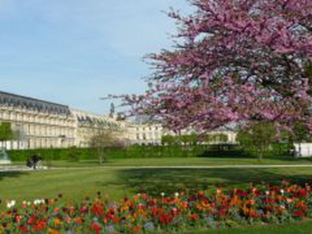 Image for Agenda du 19 au 25 mai