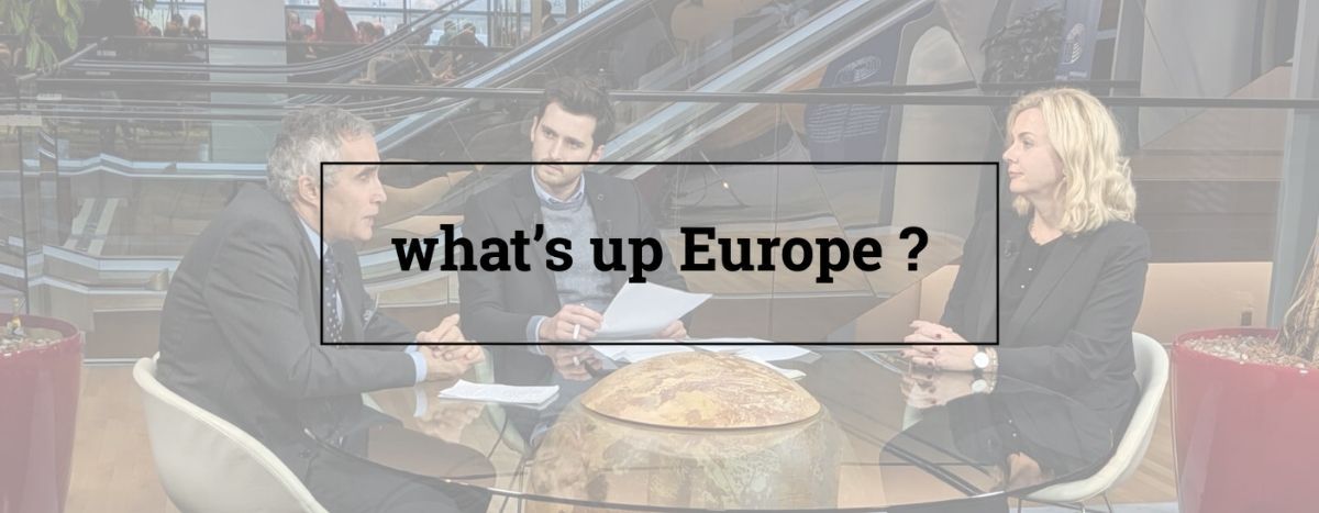 Image for Allargamento dell'Ue ad Albania e Macedonia del Nord: sì o no?