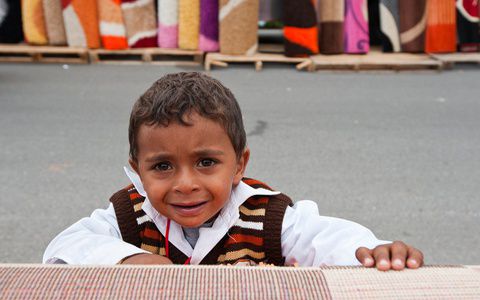 Image for Francia: la tragedia del pueblo romaní