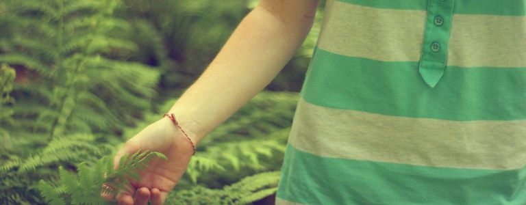 Image for The COP21 agreement: A green future or just more nausea?