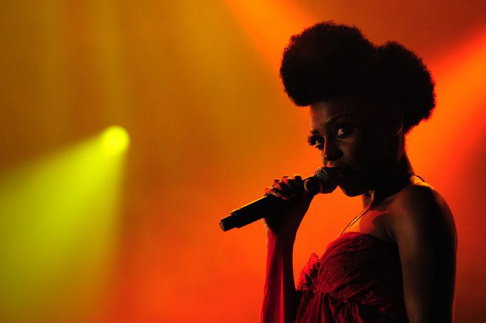 Image for Viaje hacia el sur: más que un festival