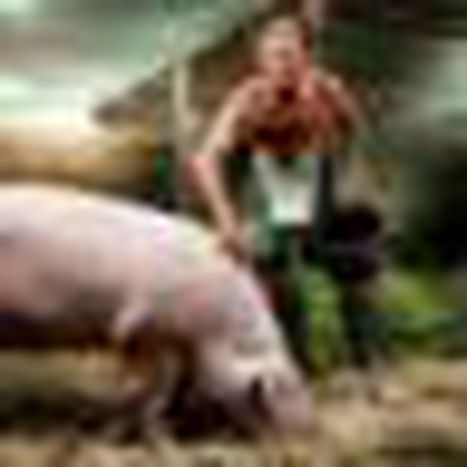 Image for Cabriole buissonière