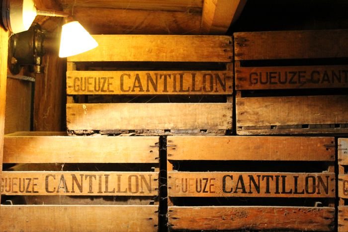 Image for Quando un mastro birraio aspetta le notti fredde