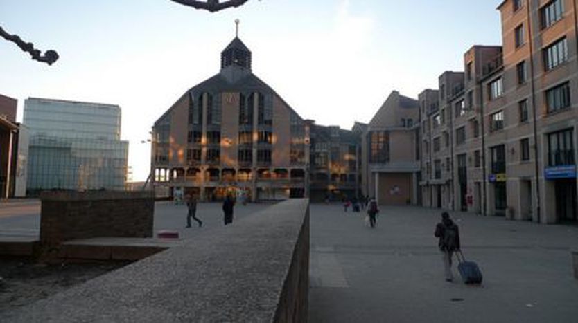 Image for Louvain-la-Neuve : 40 ans de hasard écologique