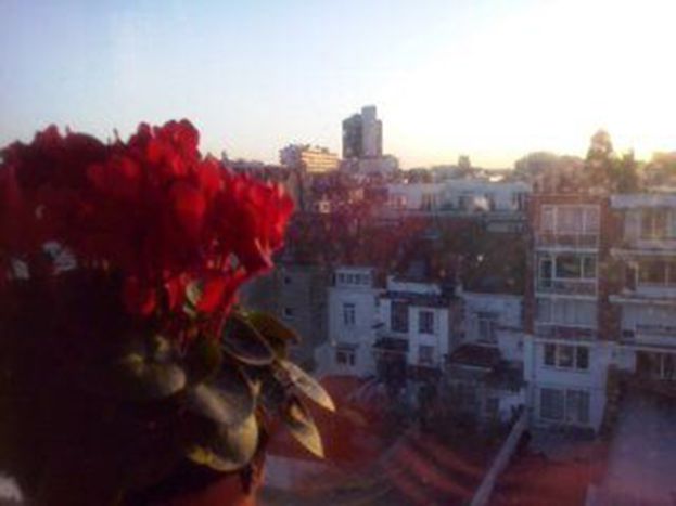 Image for Cher Erasmus, je t'écris...