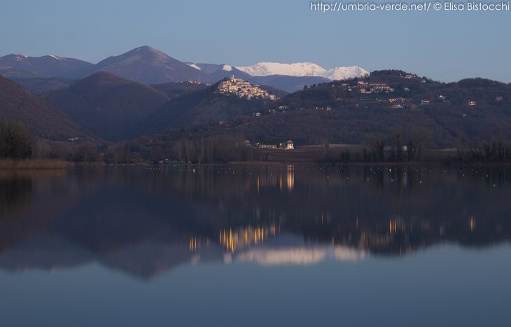 Image for Là ou résonne le bois: un voyage à pied le long de la via Francigena