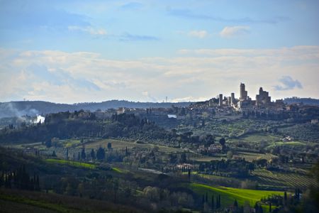 Image for Where the forest echoes: walking along the Via Francigena