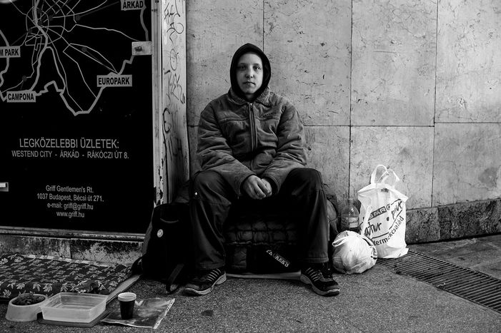 Image for Budapest: i volti della crisi