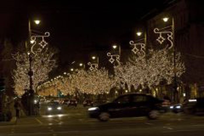 Image for Christmas trees on the ground!