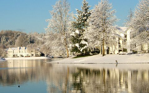 Image for 5 Consigli per sopravvivere all'inverno