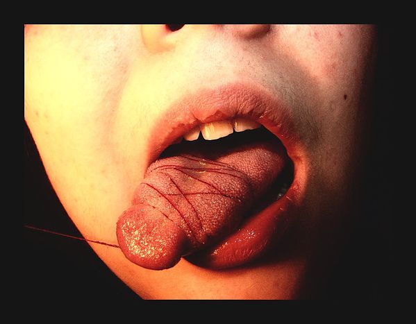 Image for znam 32 języki