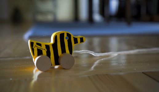 Image for Niemcy wybrały